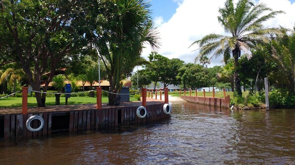 A wooden dock with tire steps leading into a body of water, surrounded by lush greenery and palm trees.