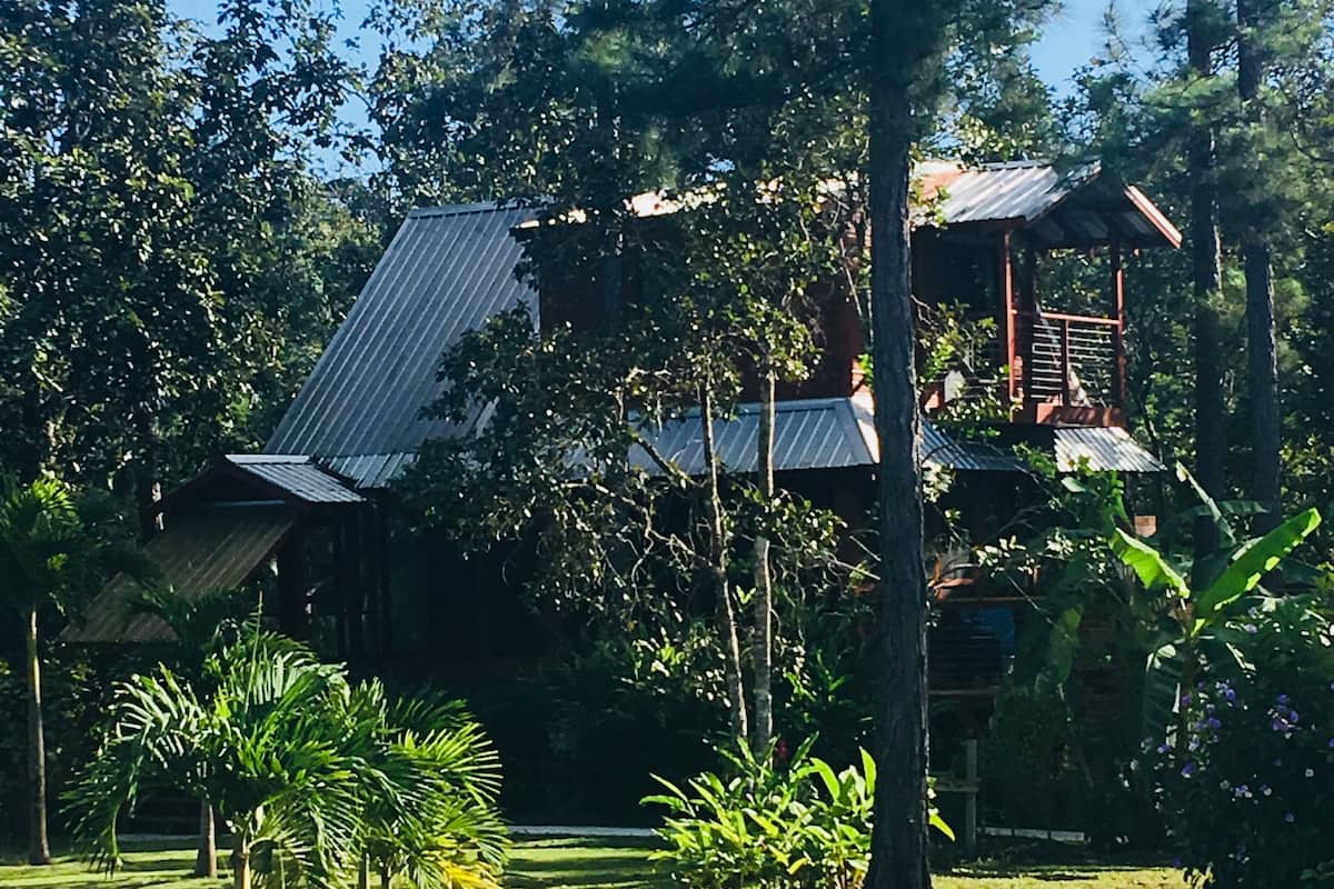 Un edificio con techo de metal y estructura de madera, rodeado de árboles y césped.
