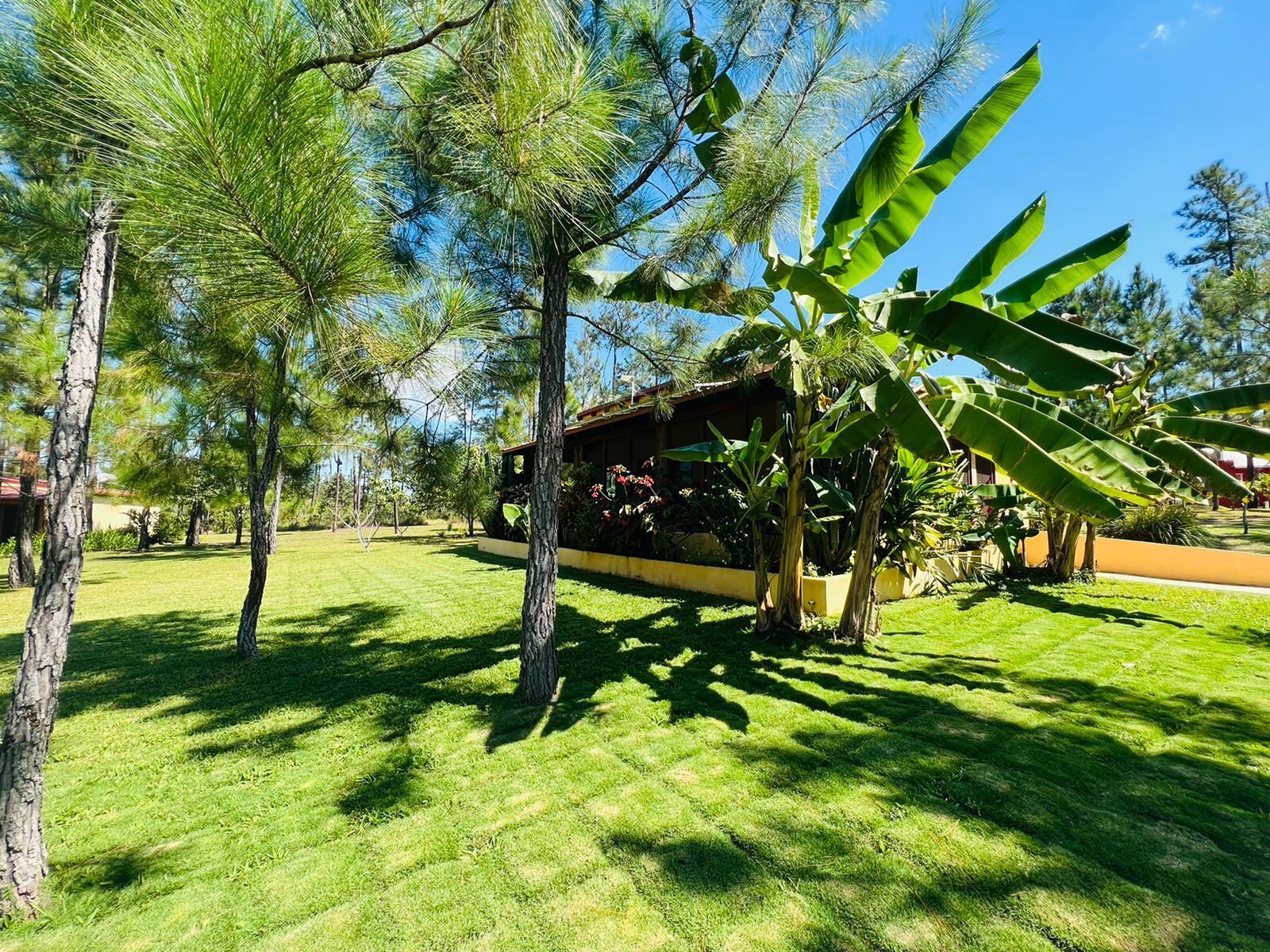 A well-maintained garden with a variety of trees, a lawn, and a building with a red roof.