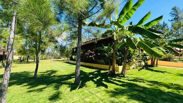 A well-maintained garden with a variety of trees, a lawn, and a building with a red roof.