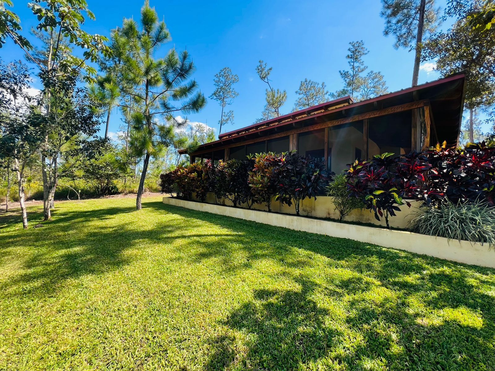 A modern house with a well-maintained lawn and a variety of plants.