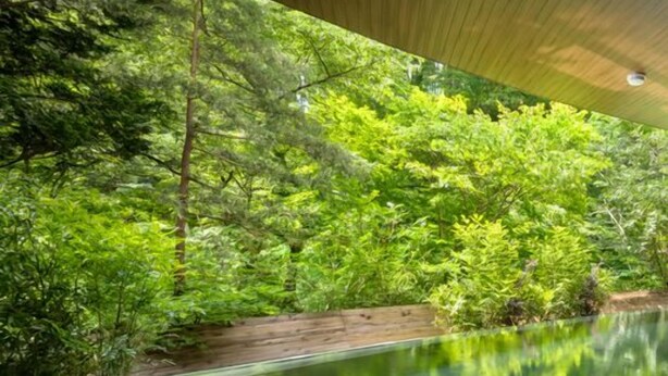 An indoor swimming pool with a wooden ceiling and lush greenery surrounding it. - Akiu Grand Hotel (Sendai)