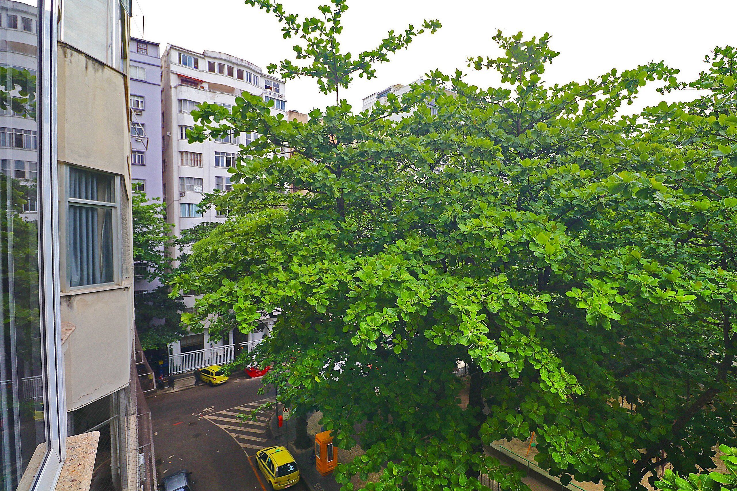 Vista d'un carrer amb vorera arbrada, edificis i vehicles estacionats.