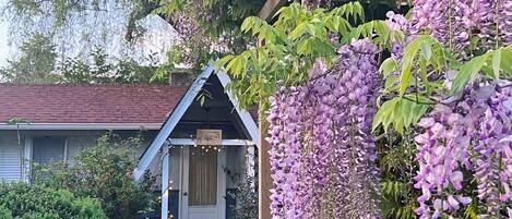 إطلالة على الحديقة