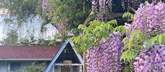 Wisteria Guest House