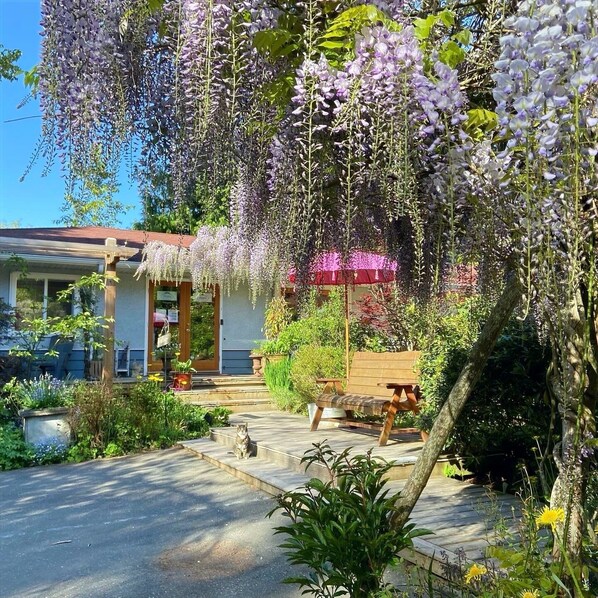 Front of property - Wisteria Guest House (Salt Spring Island)