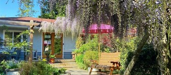 Wisteria Guest House