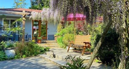 Wisteria Guest House