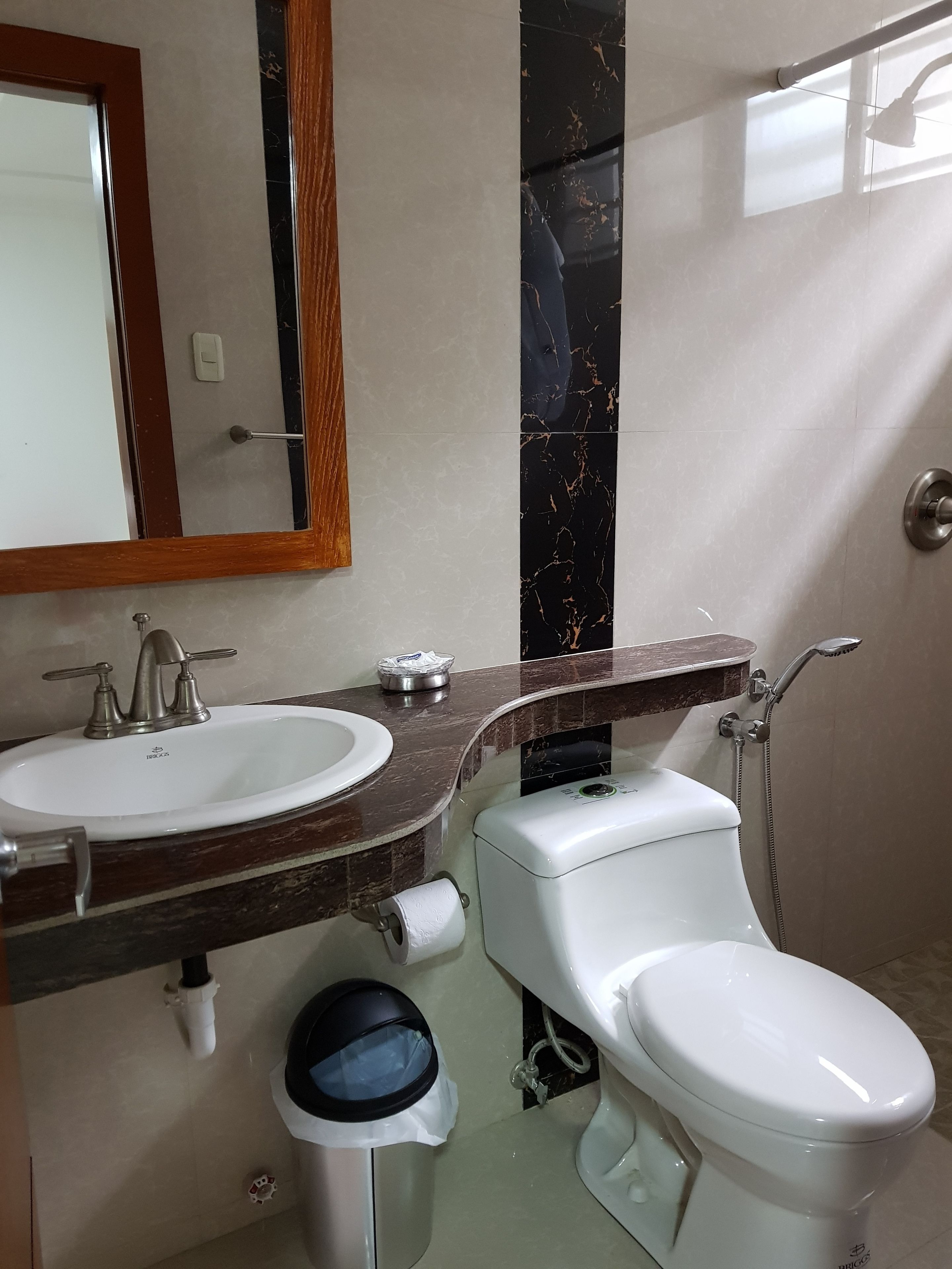 shower, free toiletries, bidet, towels