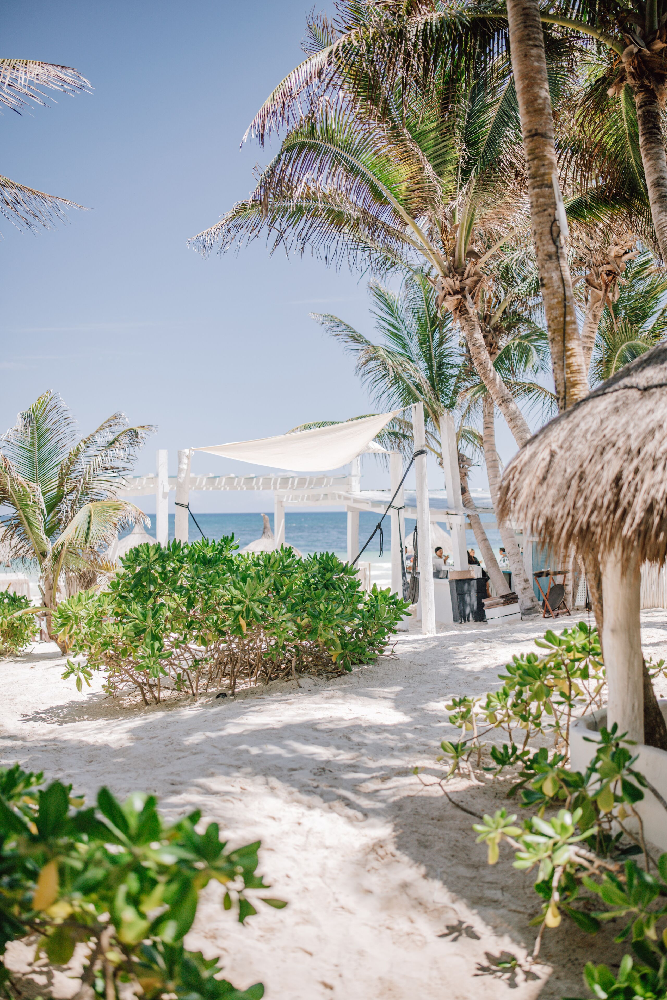 A beachside resort with palm trees, a thatched-roof structure, and a clear view of the sea.