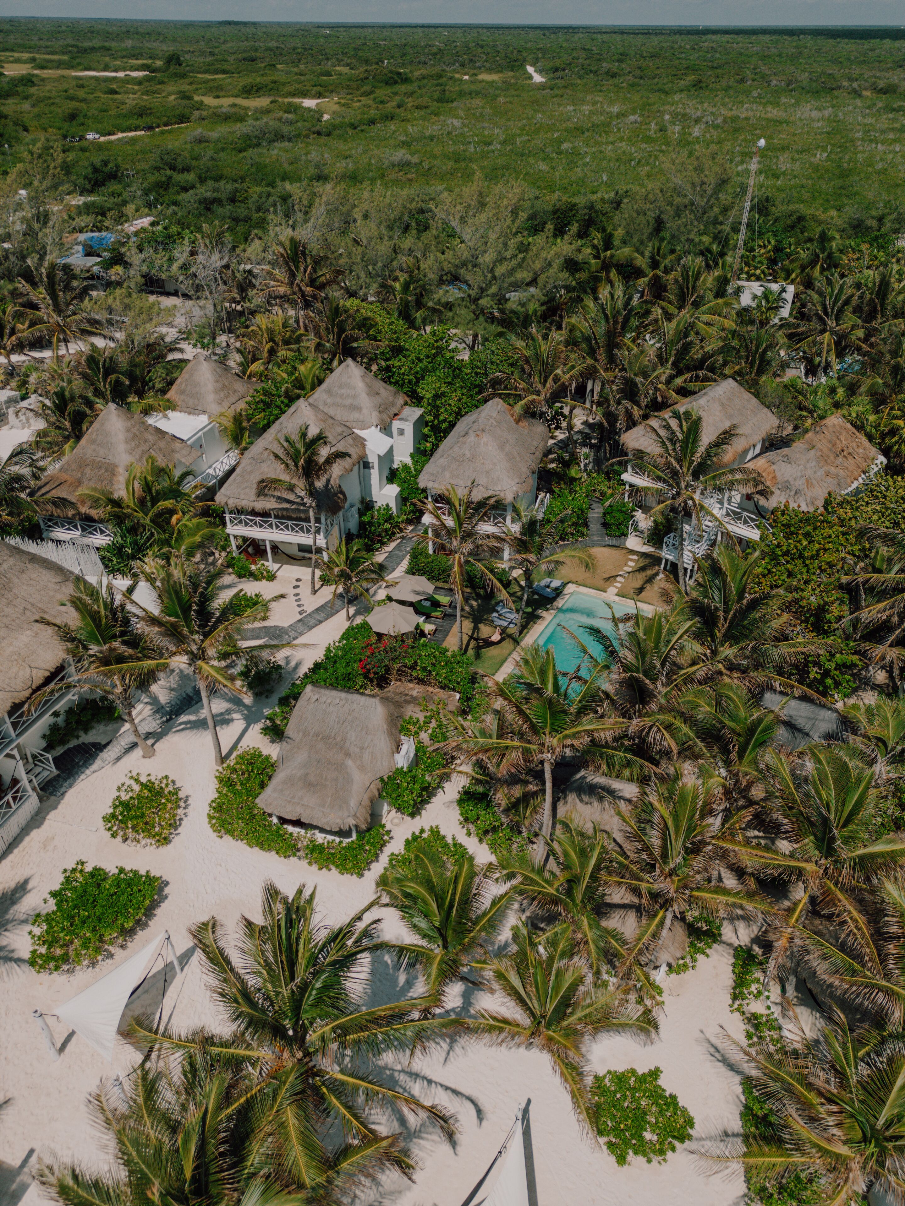 Photo - Coco Unlimited