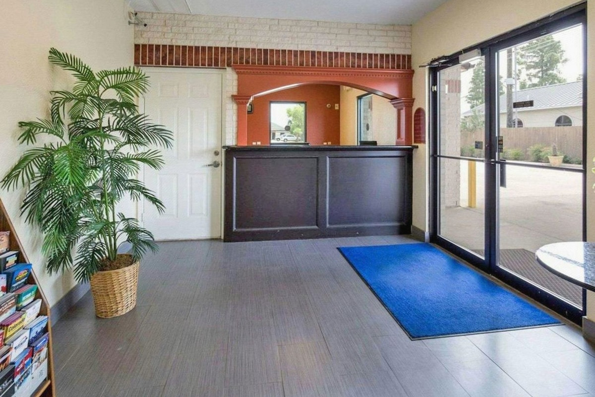 A reception area with a reception desk, a large potted plant, a blue mat, and a view through a glass door.