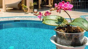 A multi-story building with a pool area, outdoor seating, and a potted orchid. - Del Valle House (Ica)