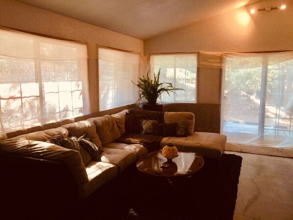 A living room with a brown leather sofa, a small round coffee table, and a potted plant.