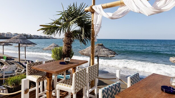 Un café situé en bord de mer, avec des tables et des chaises, un palmier et une vue sur l’océan.
