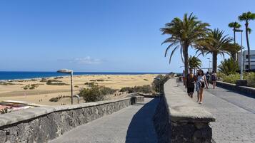 Een pad van stenen loopt naar een strand met palmbomen en een helderblauwe lucht.