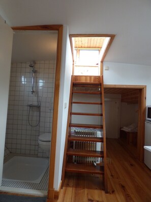 Regadera, secadora de cabello, toallas, jabón 