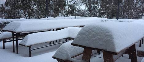 Outdoor picnic tables covered in snow, surrounded by trees.