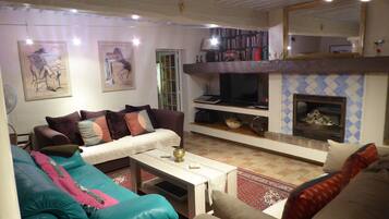 Télévision, cheminée, lecteur de DVD, table de tennis de table