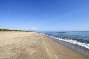 Plage à proximité, serviettes de plage