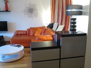 Fernseher, DVD-Player, Bücher, Musikbibliothek