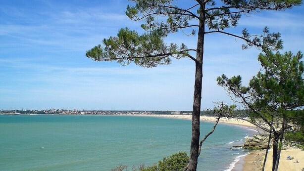 Blick auf die Küste mit Strand, Bäumen und blauem Himmel.