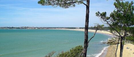 Plage à proximité