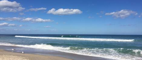 Ubicación cercana a la playa, tumbonas y toallas de playa