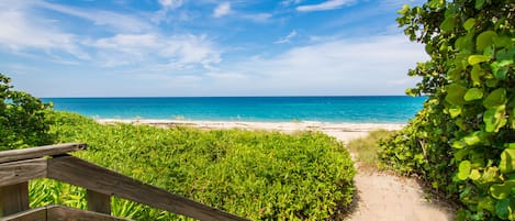 Strand | Nära stranden, solstolar och strandhanddukar