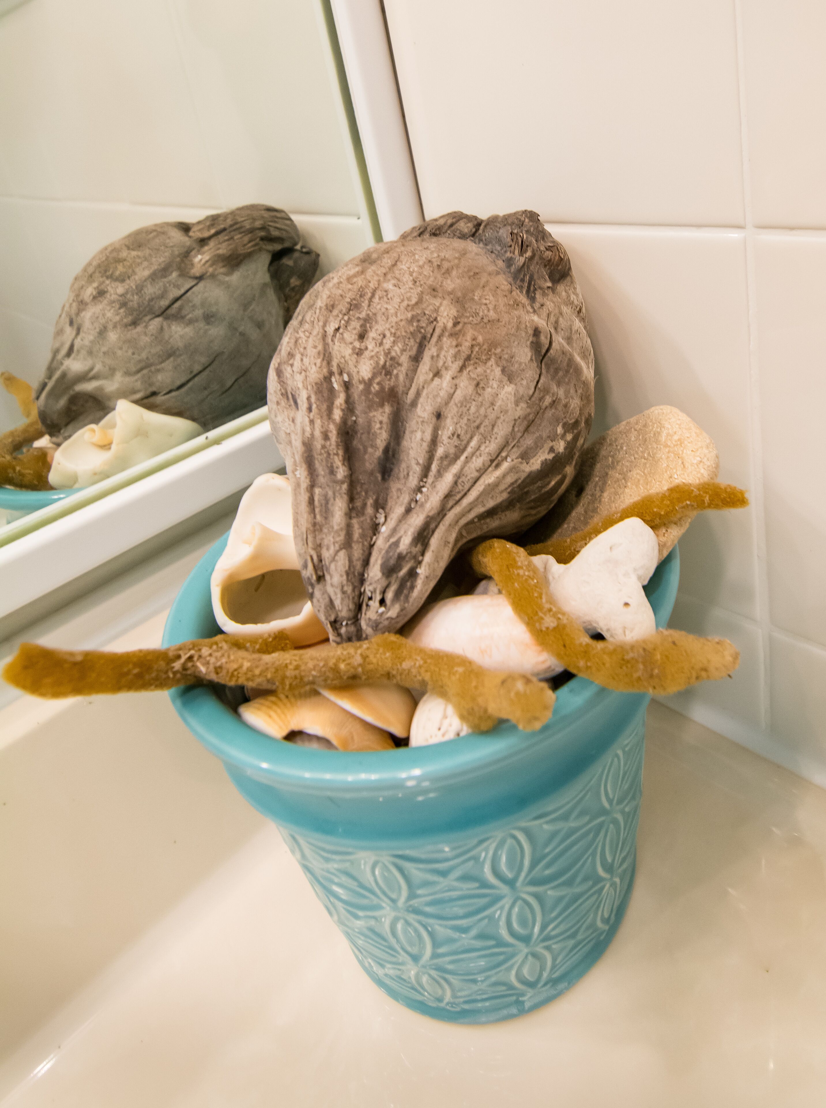 Une salle de bain avec un récipient en céramique bleue contenant des coquillages et du bois flotté.