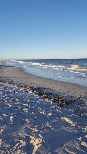 Playa en los alrededores y camastros 