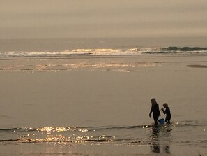 Playa en los alrededores y camastros 