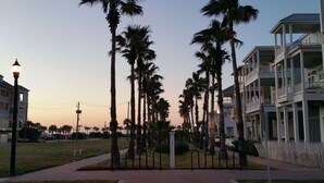 A row of tall palm trees in a well-maintained area with a paved walkway, surrounded by multi-story buildings with balconies. - STUNNING! CUSTOM BEACH HOUSE, HOT TUB, BEACH JUST STEPS AWAY (Galveston)