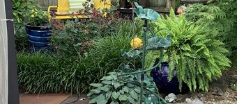 Bear House 1890, Sherfey Suite, Perfect Getaway, Walk to Cafes, Outdoor Activity