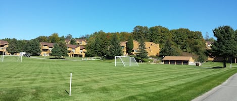 Sports court