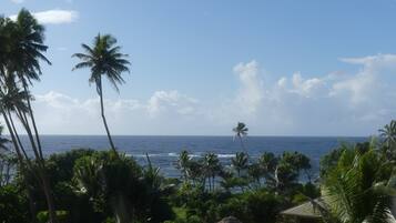 First Light | Terrace/patio