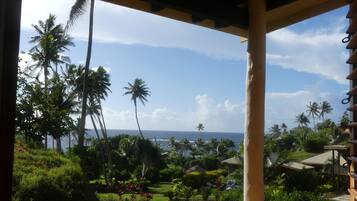 Beach/ocean view