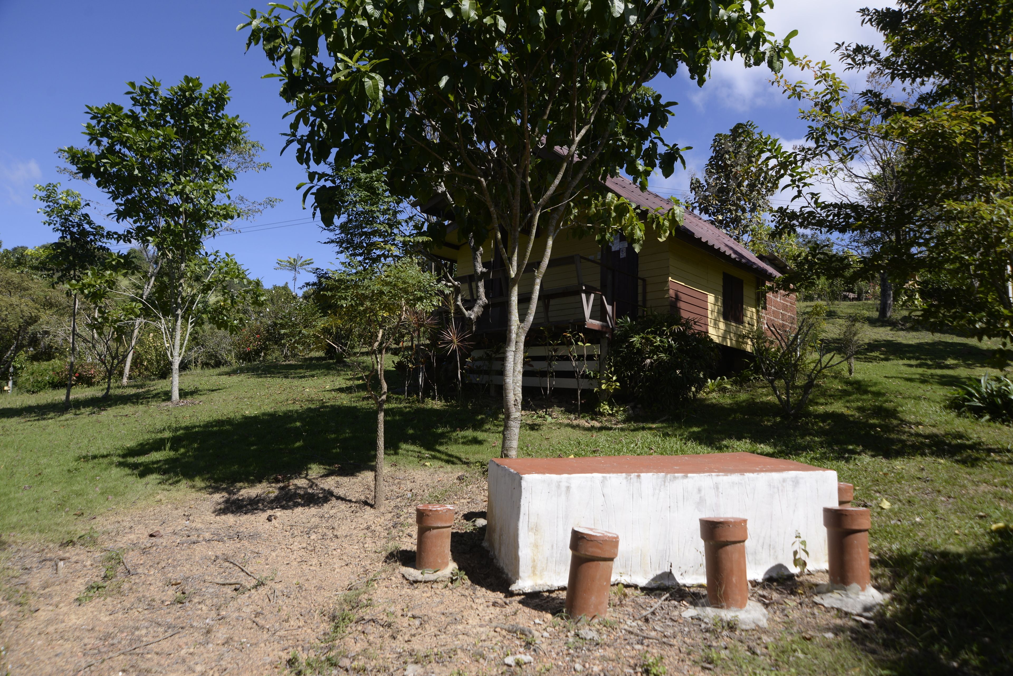 Pemandangan dari hartanah