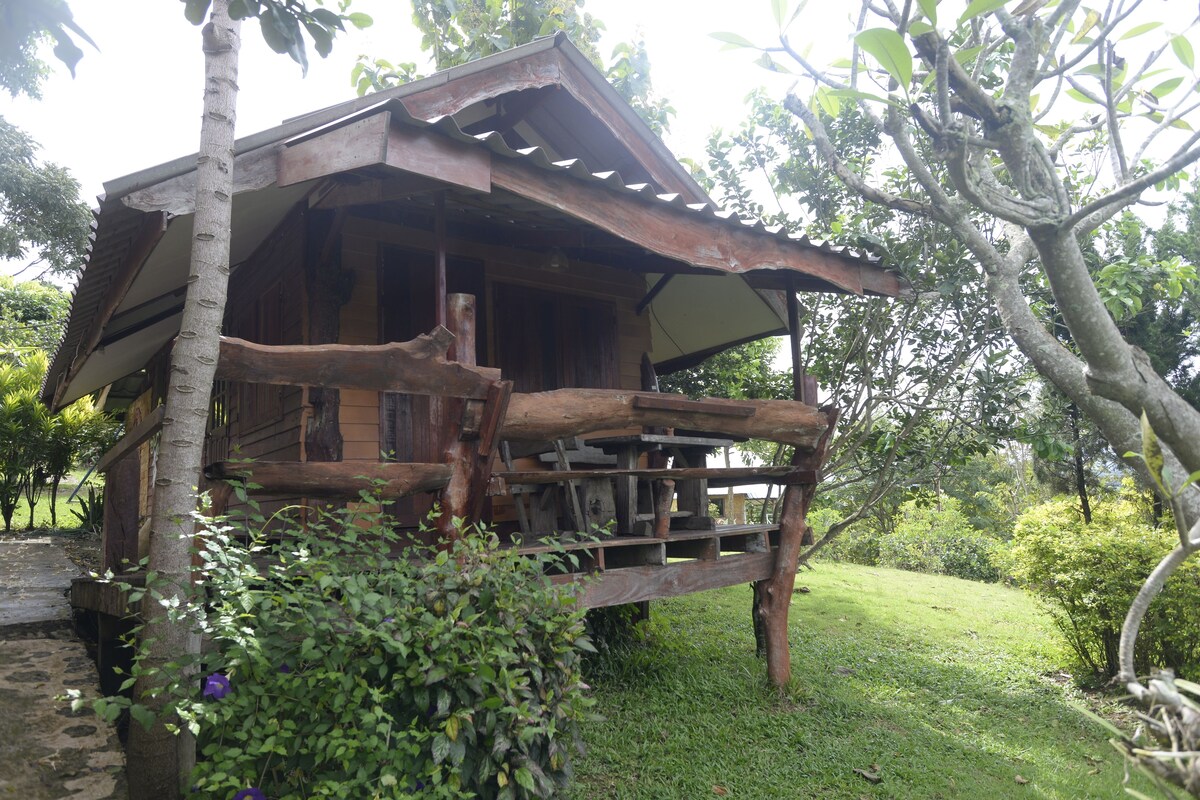 1 bedroom, desk, rollaway beds, free WiFi