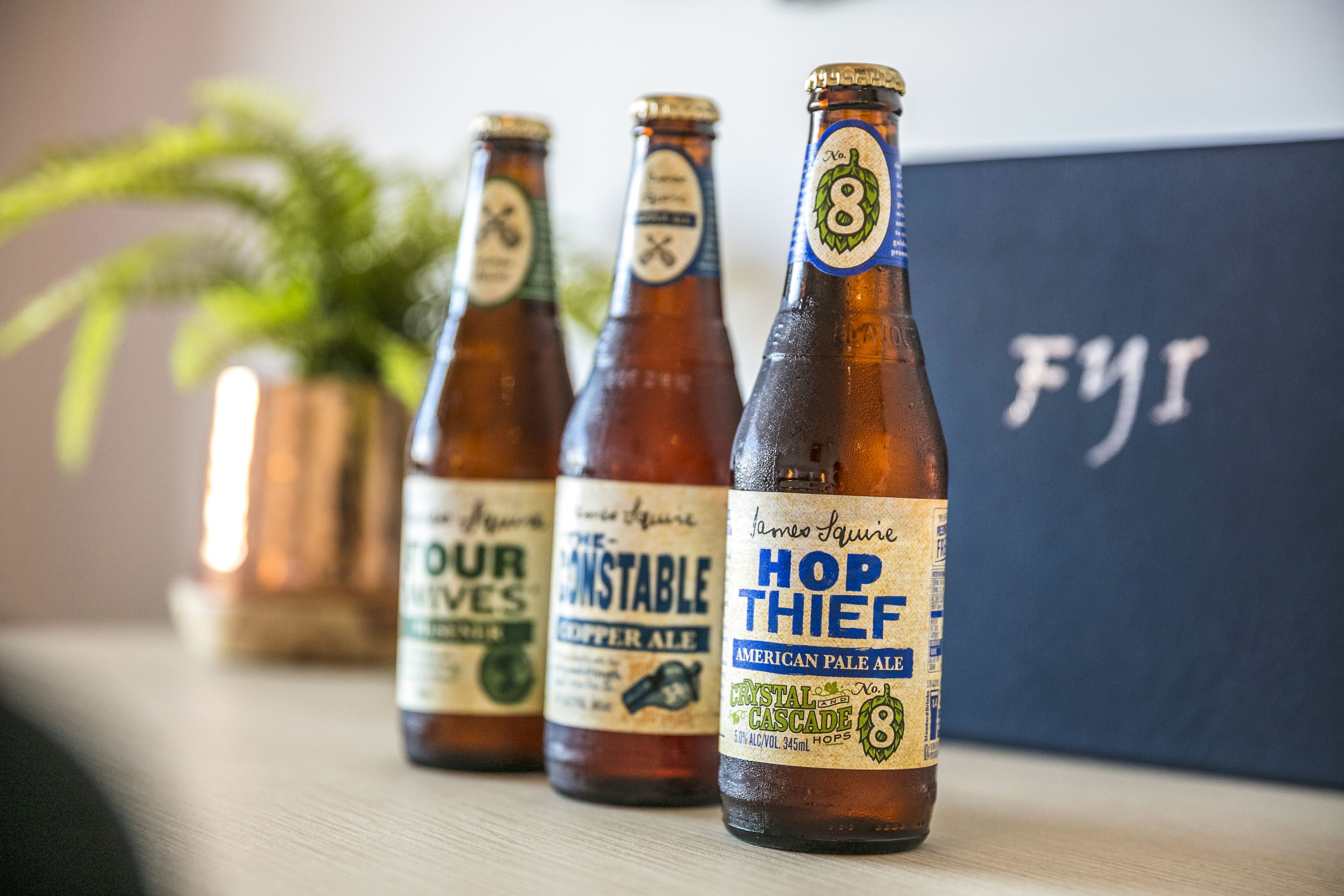 Tres botellas de cerveza sobre una superficie de madera con una planta en maceta al fondo.