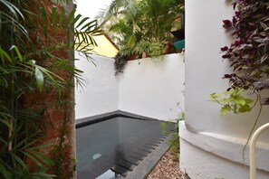 Relax by the serene water feature surrounded by lush greenery and a palm tree.