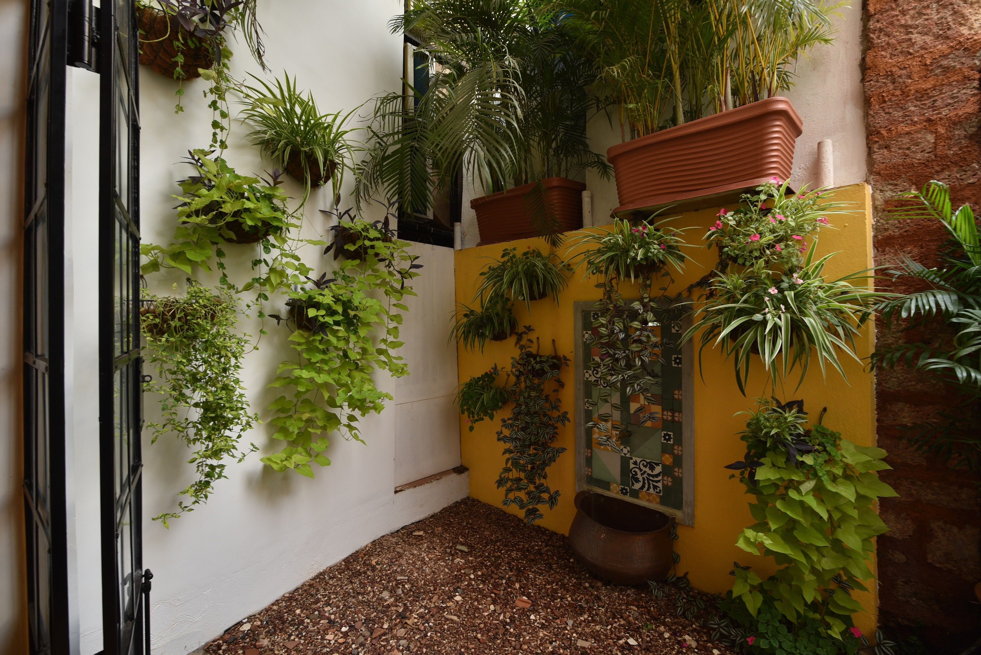 A small courtyard with a yellow wall, various potted plants, and a small decorative fountain.