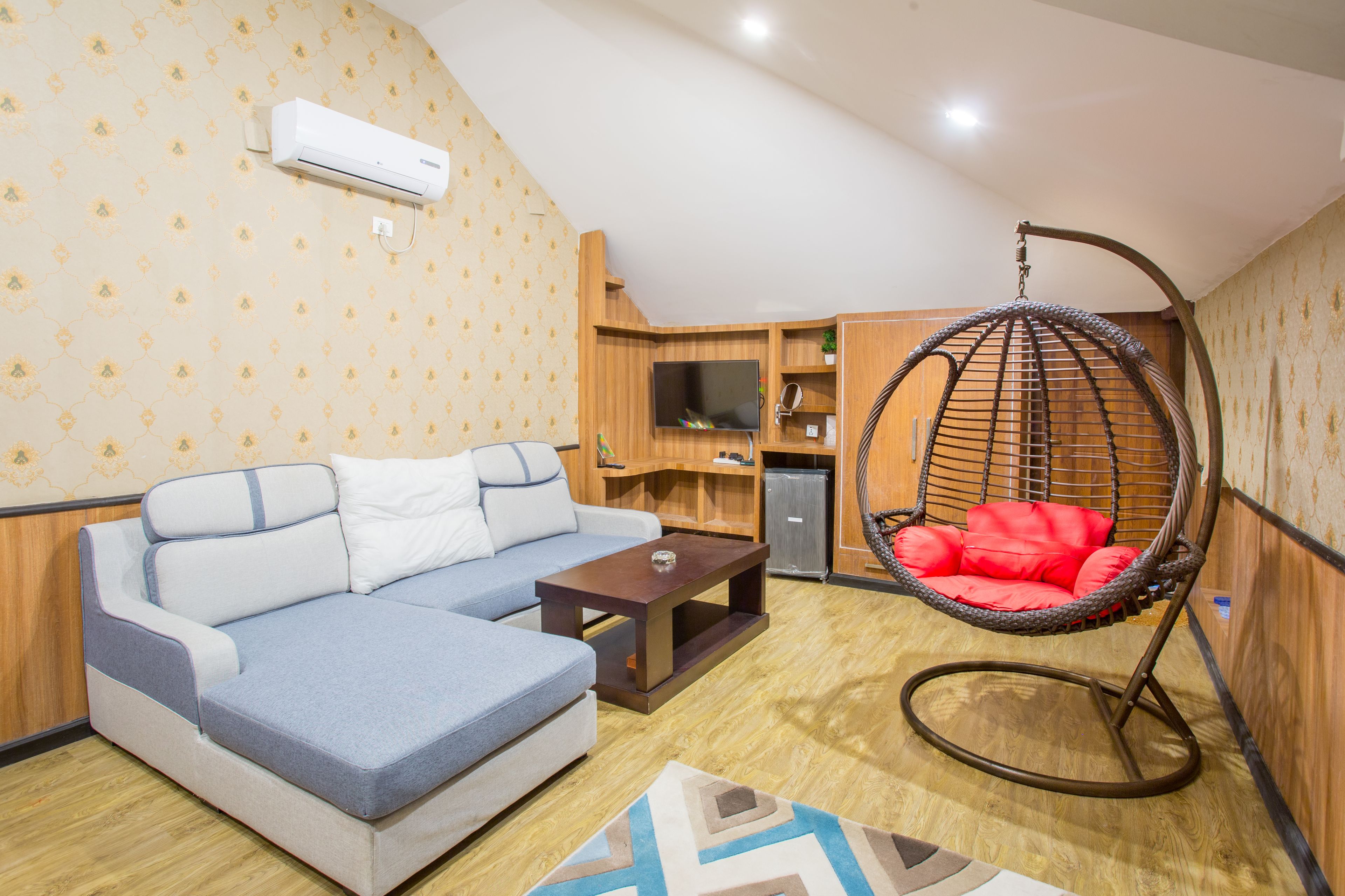 A living room with a sofa, a hanging chair, a TV, and a small cabinet.