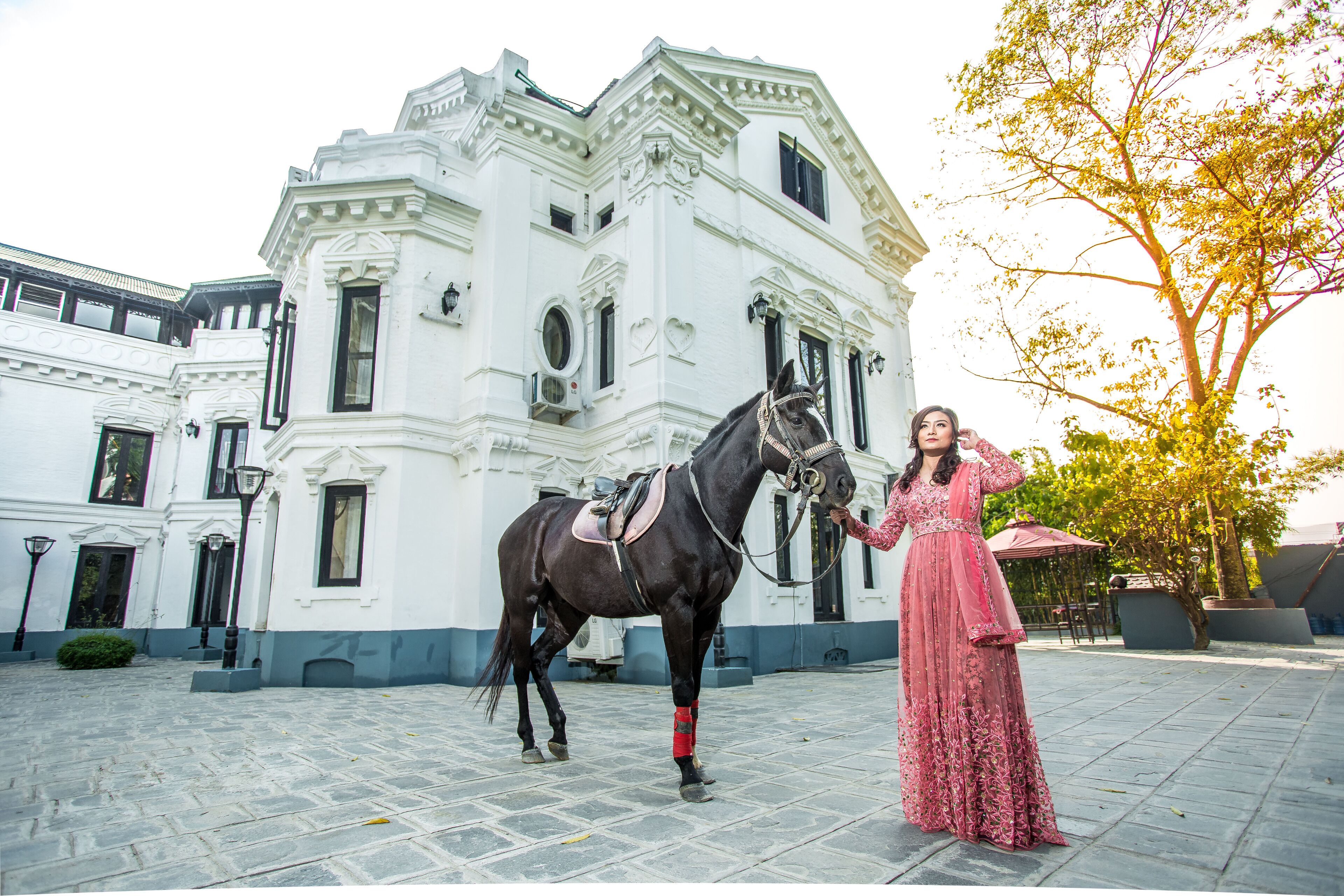 A horse standing in front of a white building with a large window and a balcony.
