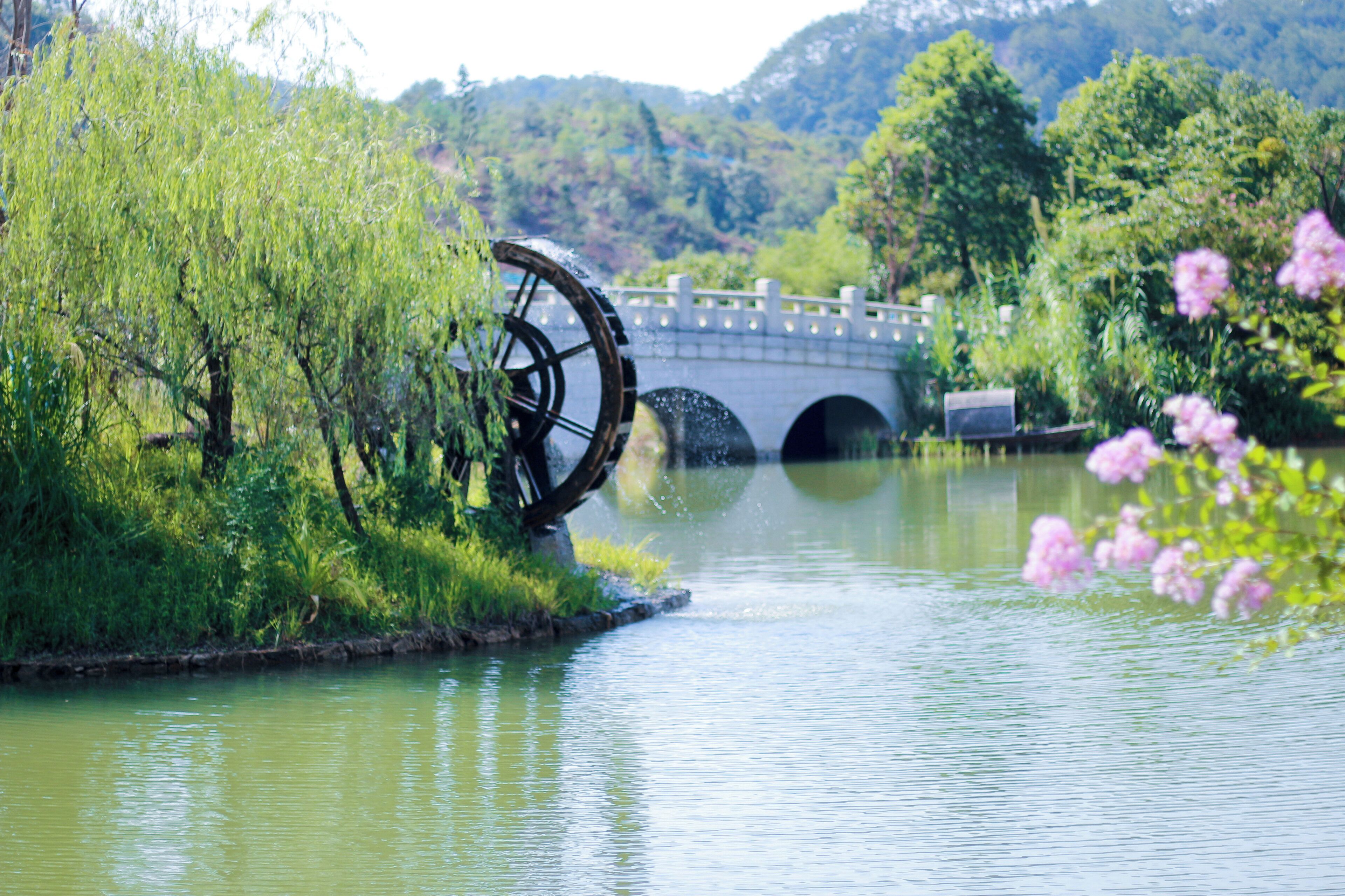 A water wheel, a bridge, and lush greenery.