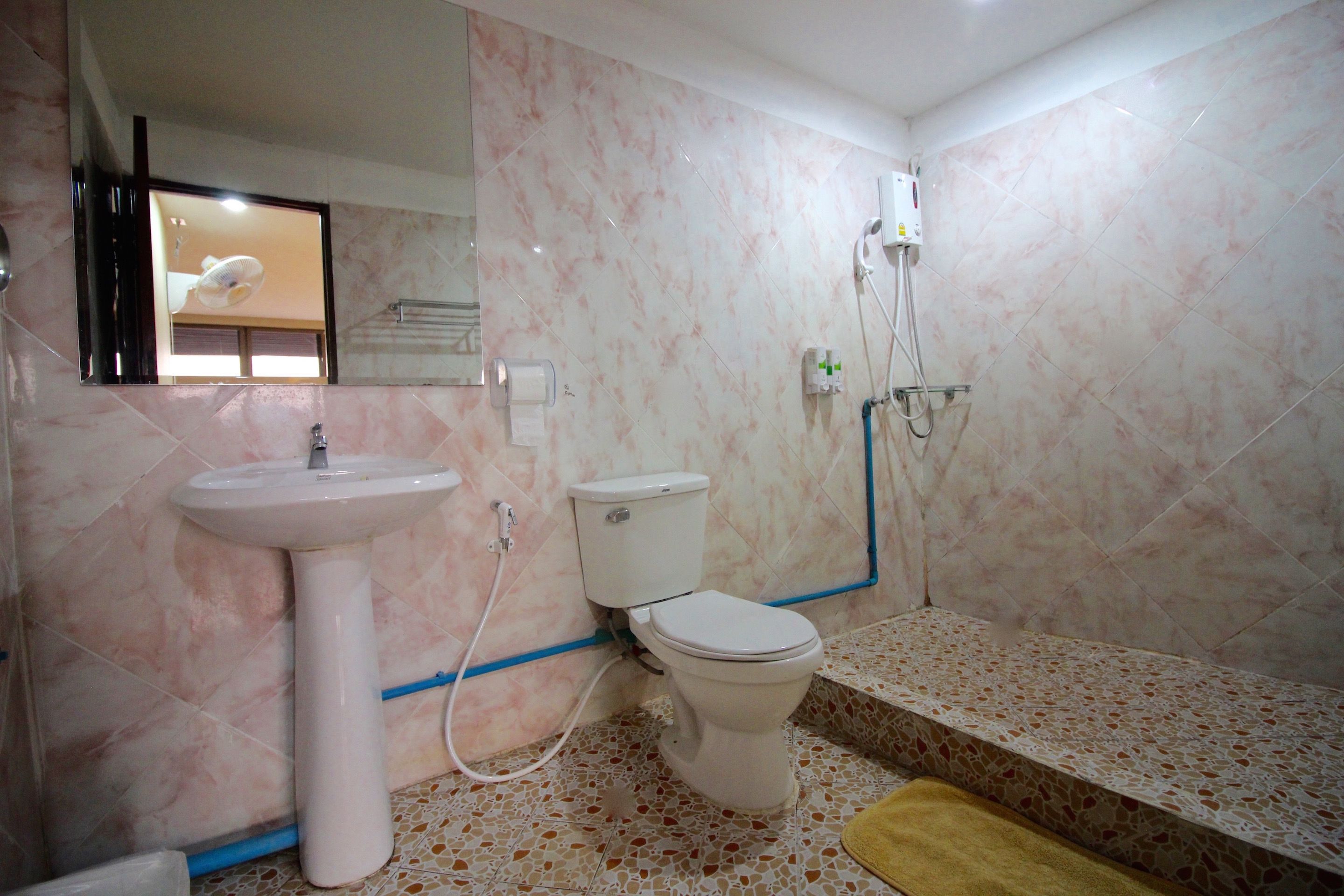 Une salle de bain avec un lavabo, des toilettes et une douche.