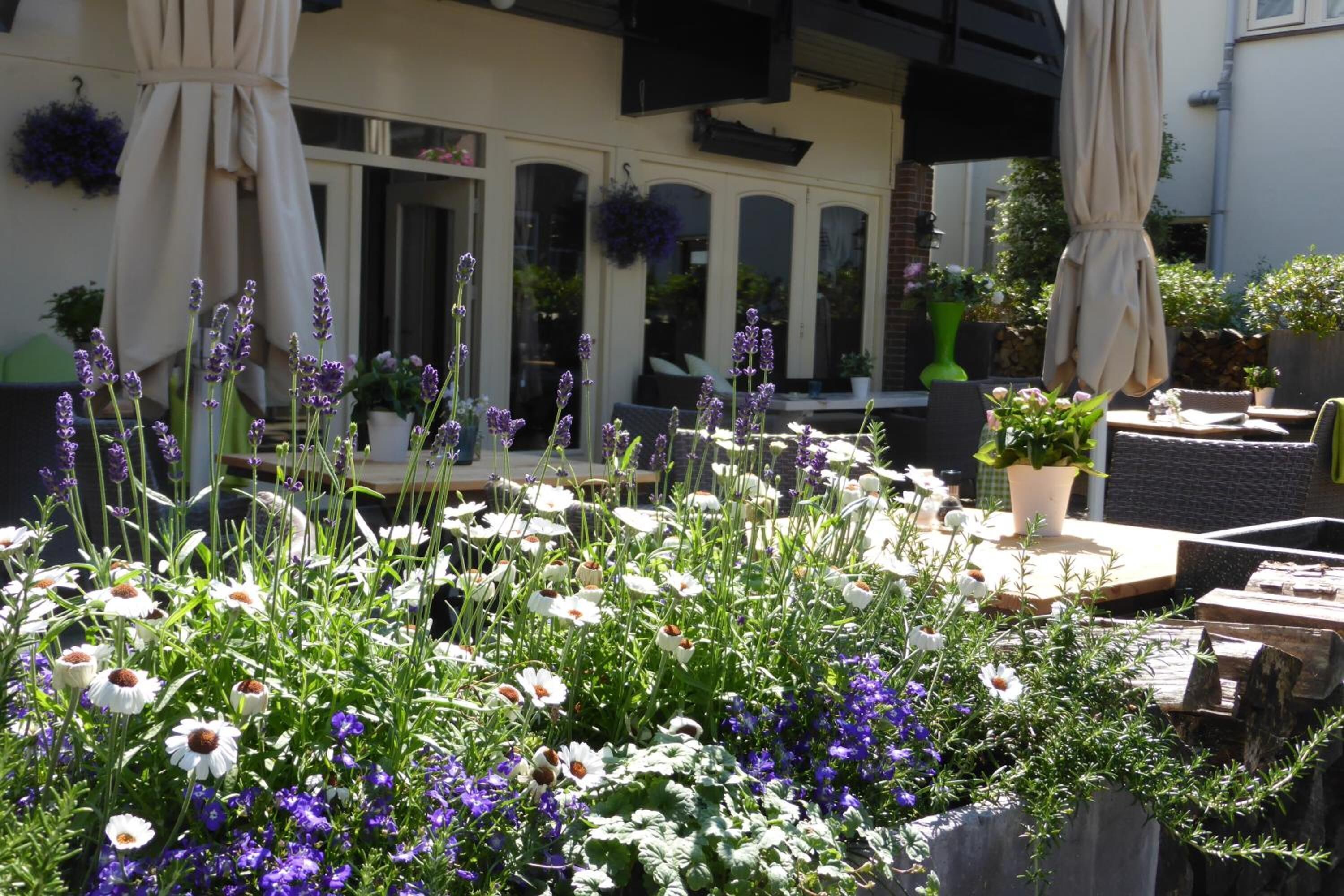 Terrein van de accommodatie