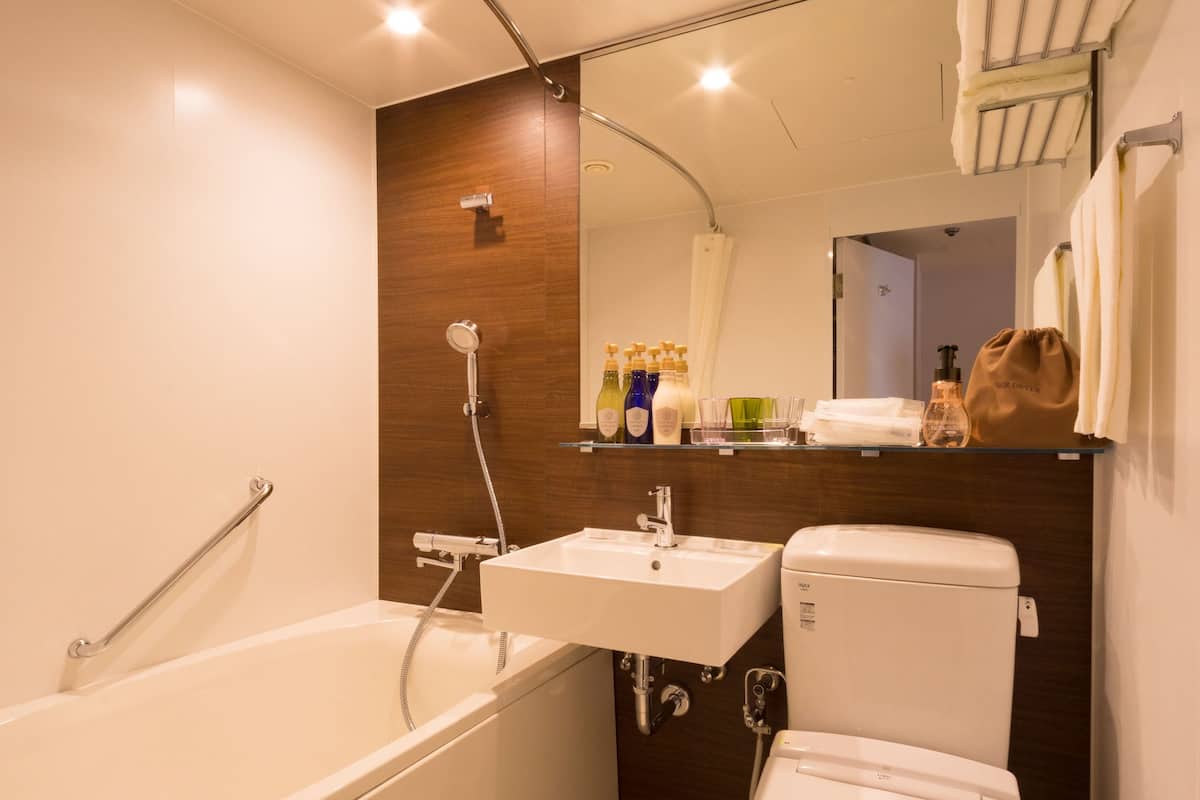 combined shower/bathtub, free toiletries, hair dryer, slippers