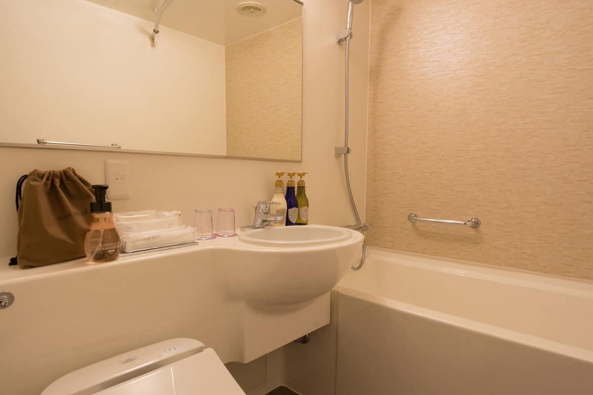combined shower/bathtub, free toiletries, hair dryer, slippers