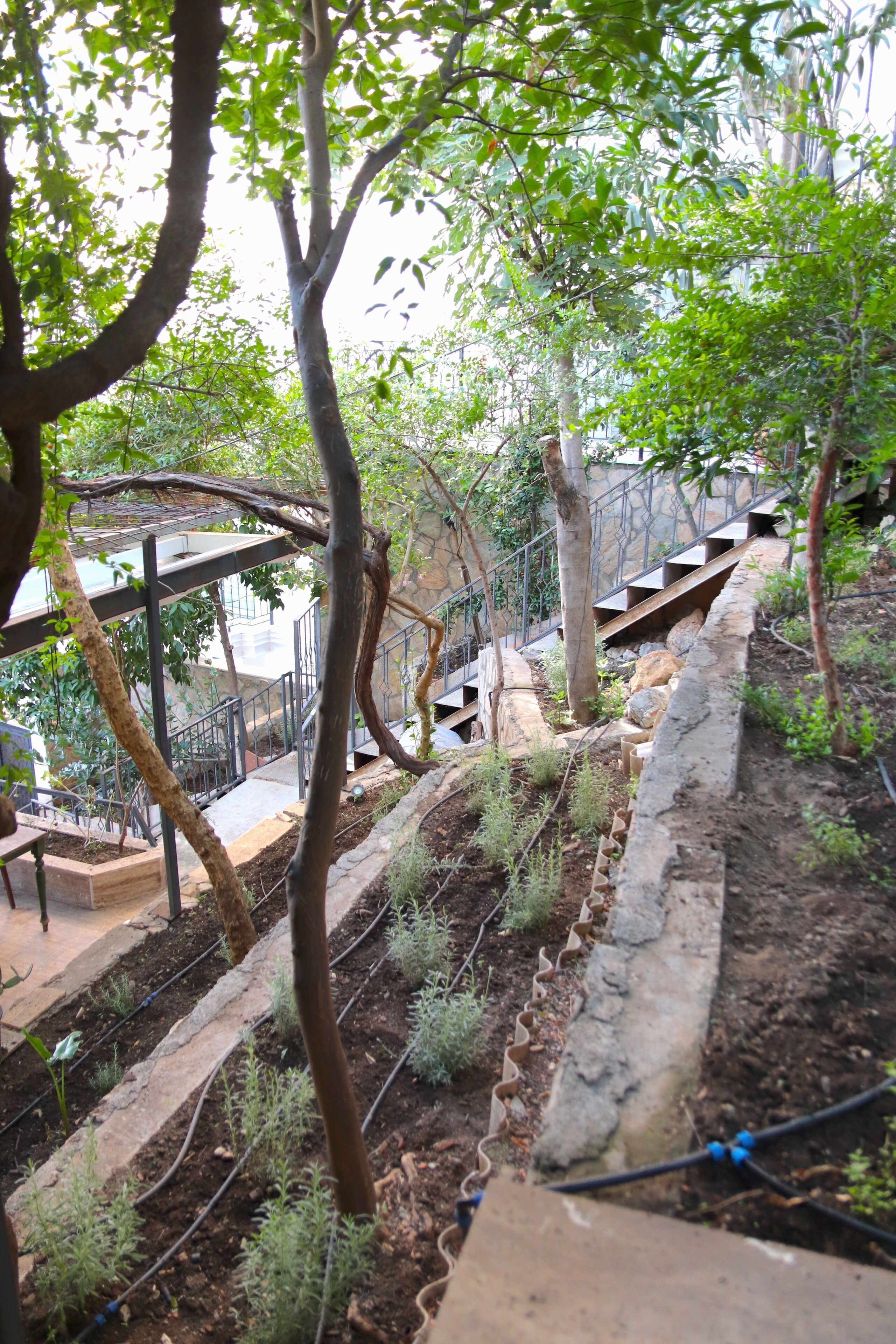 Foto - Casa Margot Hotel - Adults Only